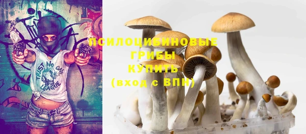 тгк Абдулино