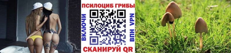 как найти закладки  Нижняя Тура  Псилоцибиновые грибы мухоморы 